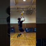 volley ball : l&rsquo;arago de sète face à tours, des regrets malgré la logique