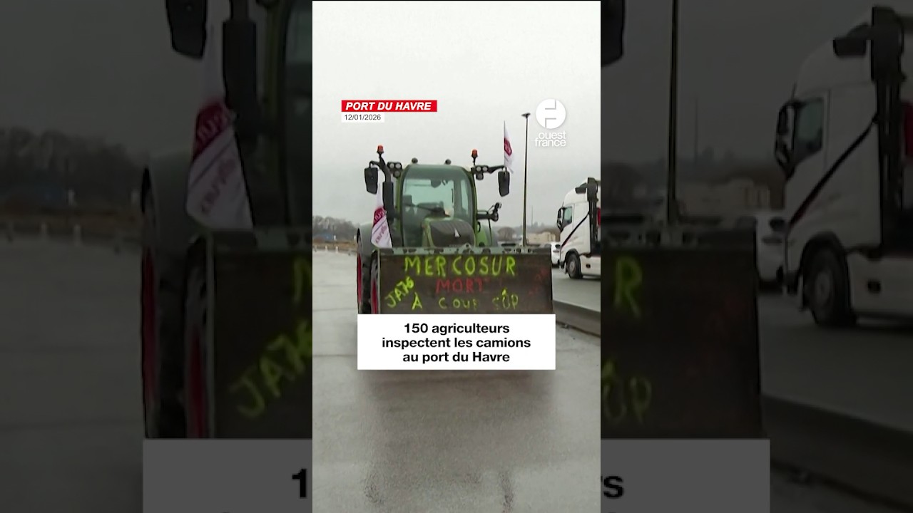 Sète bloqué après l&rsquo;annulation d&rsquo;une traversée vers l&rsquo;Algérie par GNV